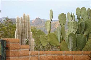 Frühstückspension Cactus Cove Tanque Verde
